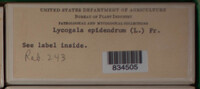 Image Associated With the Occurence